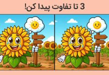 بازی فکری تفاوت بین تصویر آفتابگردان