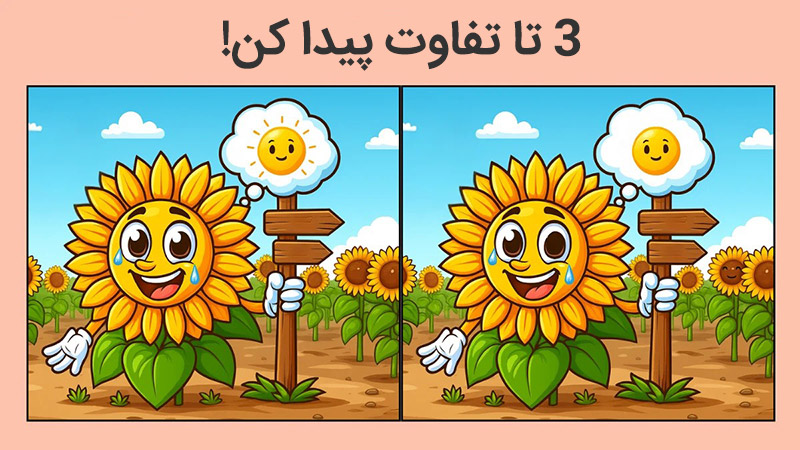 بازی فکری تفاوت بین تصویر آفتابگردان