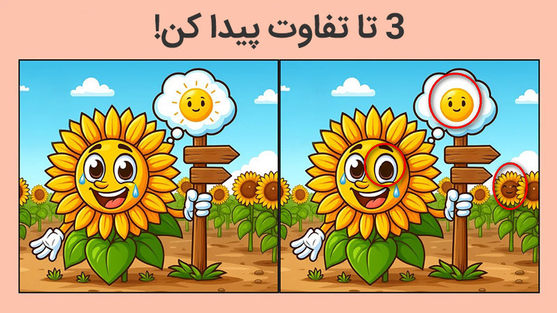 جواب بازی فکری تفاوت بین تصویر آفتابگردان