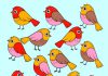 بازی فکری پرنده متفاوت