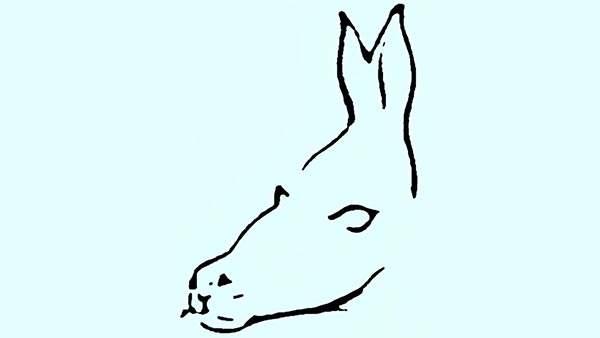 تست شخصیت شناسی براساس اولین حیوانی که می بینید