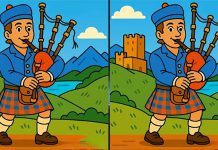 بازی فکری : سه تفاوت تصاویر مرد نوازنده