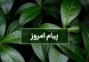 پیام امروز