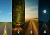تست روانشناسی کدام مسیر رو برای ادامه‌ زندگی انتخاب می‌ کنی