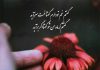 حافظ از غم و وصال میگه؛ گفت‌ و گویی کوتاه و پر از امید!