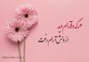 سعدی و دامِ دل؛ سفری به راز عاشق شدن در یک نگاه!