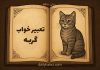 روانشناسی خواب گربه