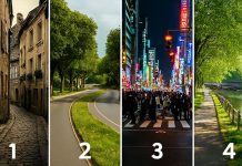 روانشناسی شخصیت مسیر شهری شما چگونه ارتباط برقرار می‌ کنید؟