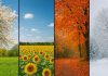 روانشناسی می گوید : فصل مورد علاقه‌ شما، ویژگی شخصیتی شما را آشکار می کند!