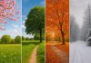 سوال شخصیت شناسی اگر تو یک فصل بودی کدام یک بودی؟