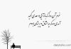 یک غزل عاشقانه هنر وفا در دنیای بی‌ رحم