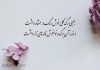 غزل عاشقانه حافظ؛ روایتی شاعرانه از گل خوش‌ رنگ و ناله بلبل!