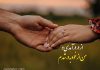 یک غزل عاشقانه روایت ناب سعدی