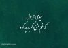 وقتی دل از دست میرود؛ نگاهی به غم‌ های عاشقانه در شعر حافظ!