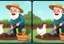 بازی فکری : 3 تفاوت تصویر پیرمرد باغبان