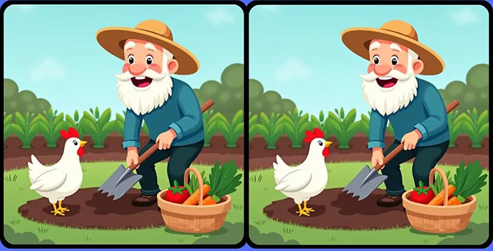 بازی فکری : 3 تفاوت تصویر پیرمرد باغبان