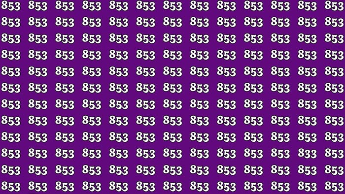 بازی فکری : عدد 833 را پیدا کنید!