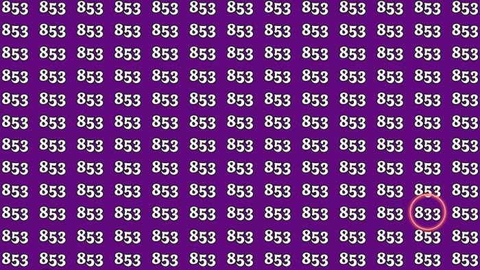 بازی فکری : عدد 833 را پیدا کنید!