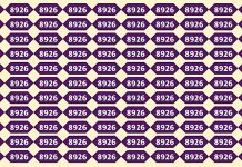 بازی فکری : عدد 8626 کجاست؟