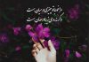 سعدی و اعتراف بزرگی که دل‌ ها را لرزان می‌ کند!